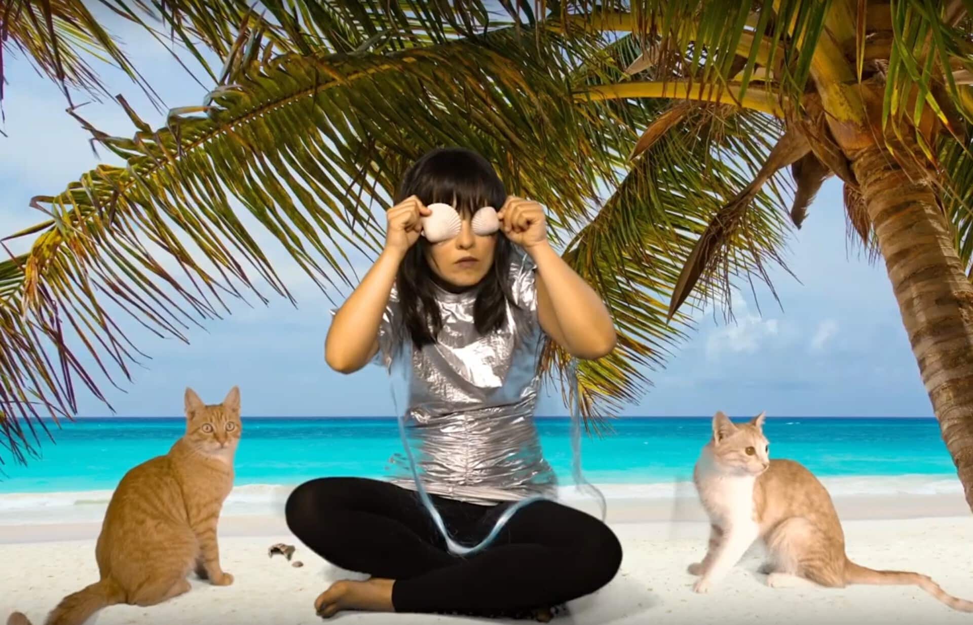 Jolly Goods performen mit Katzen vor dem Green Screen