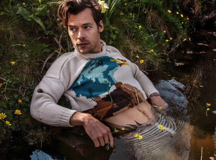 Harry Styles // © Tim Walker